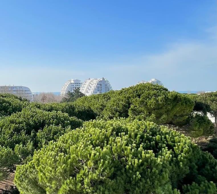 Les Jardins Du Couchant * Proche Mer * Climatisation * Parking Prive La Grande Motte Exterior foto